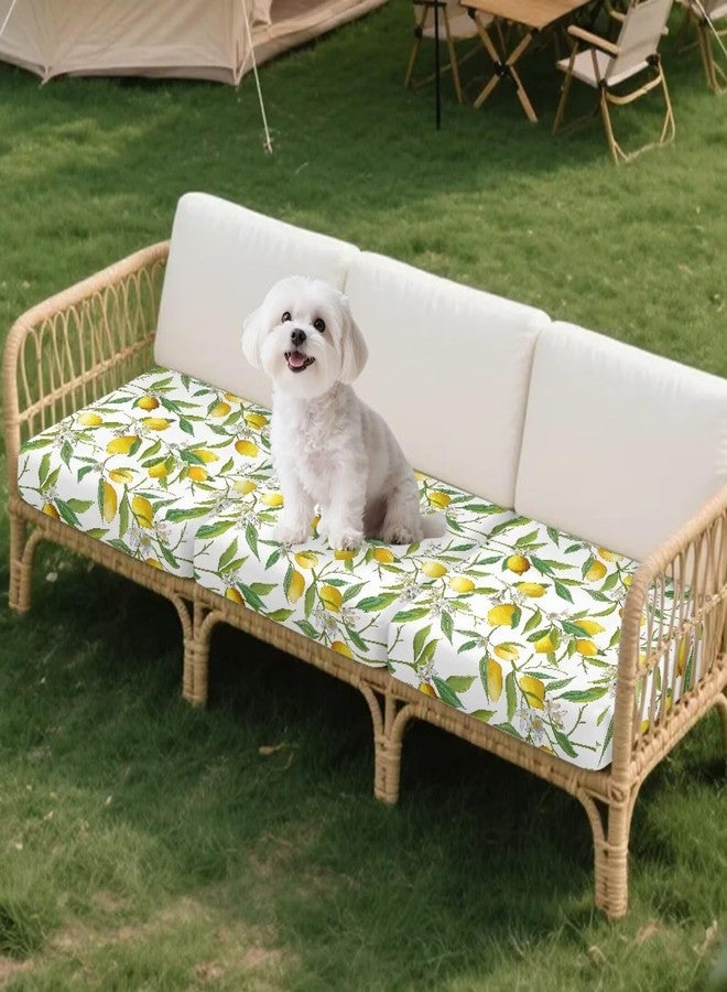Psesaysky Stretch Individual Seat Cushion Covers Vintage Lemon Sofa Cover Couch Cushion Cover Slipcover Sets Soft Washable Fabric (3 Piece Sofa Cushion Covers - Image 3